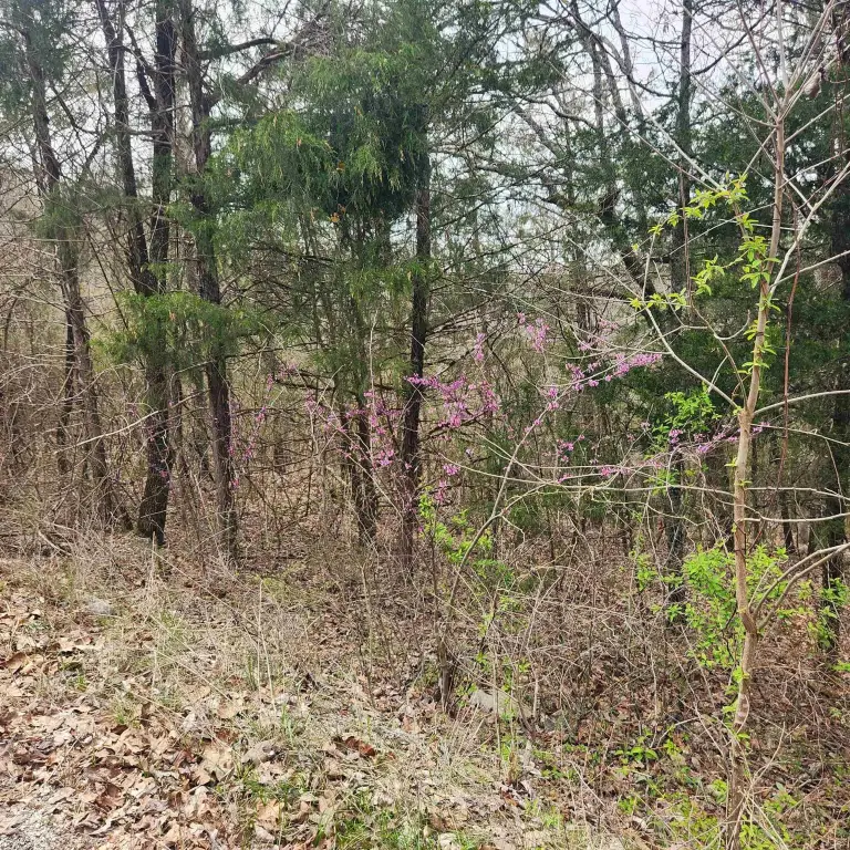 Picture 3