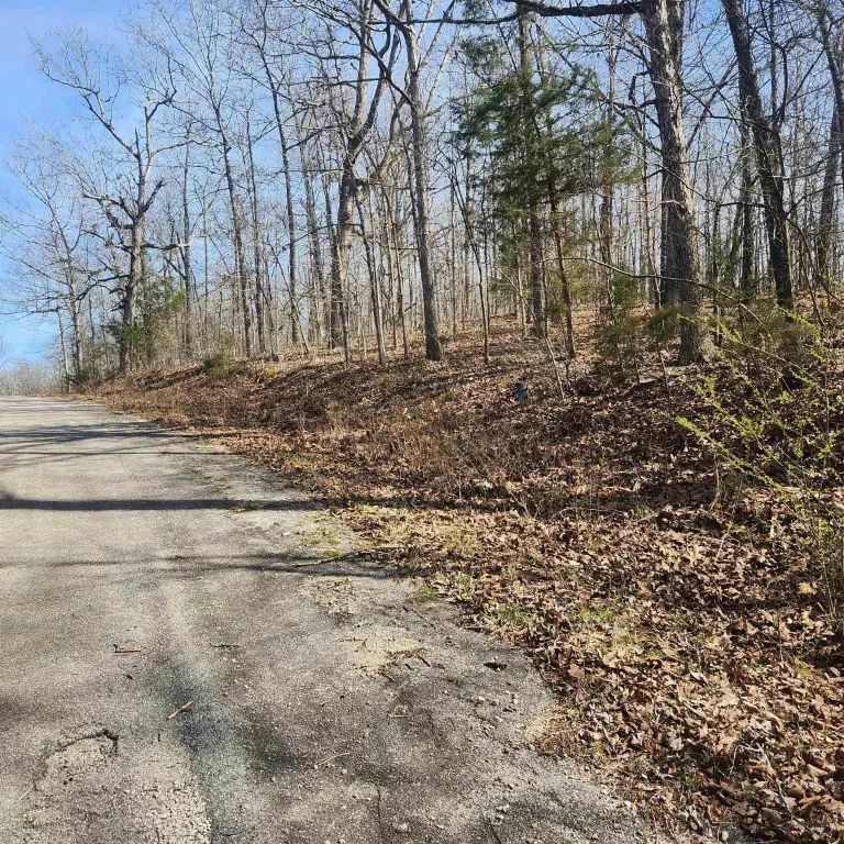 Picture 2