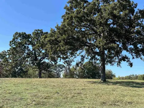 Ozarks Recreational/Hunting Acreage For Sale