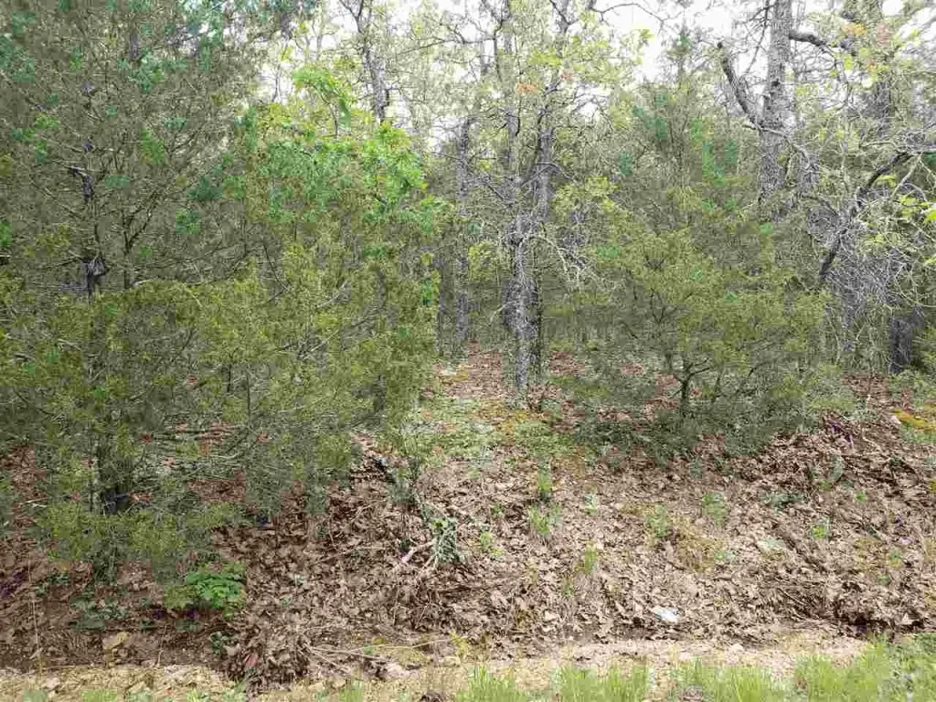 Picture 19