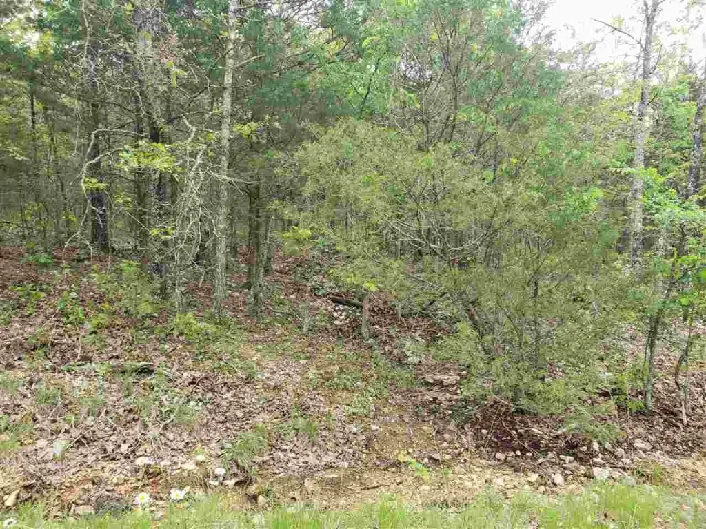 Picture 15