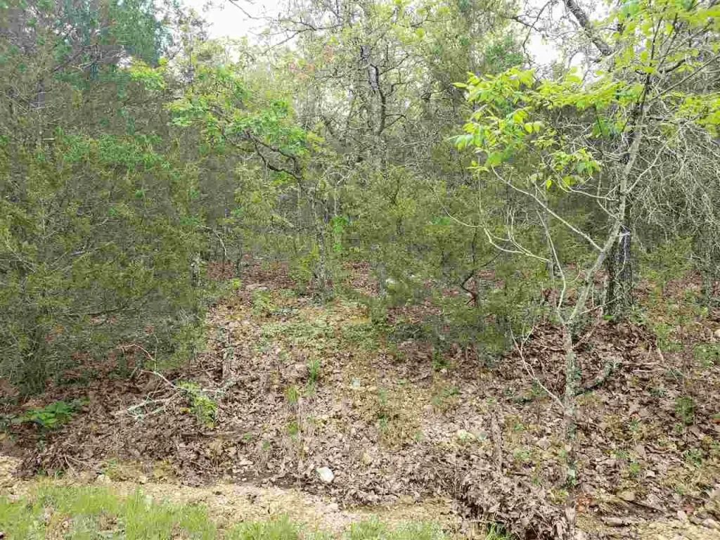 Picture 10