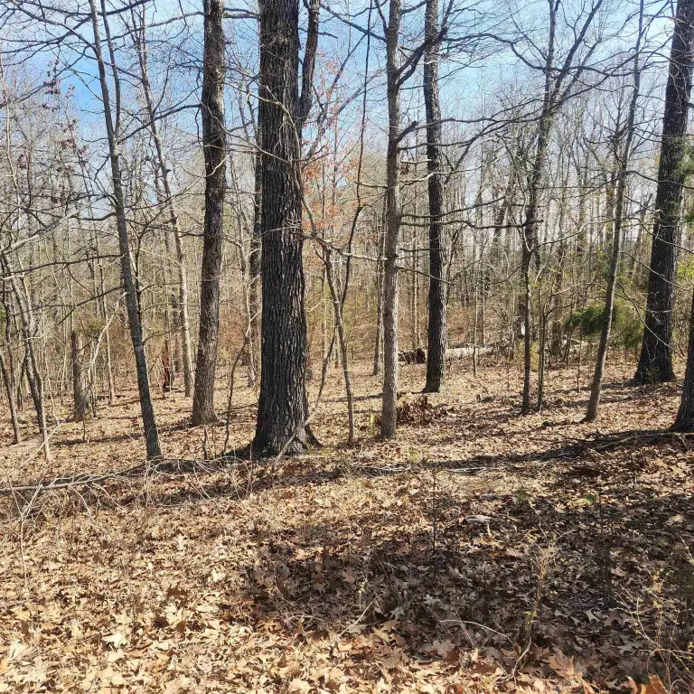 Picture 6