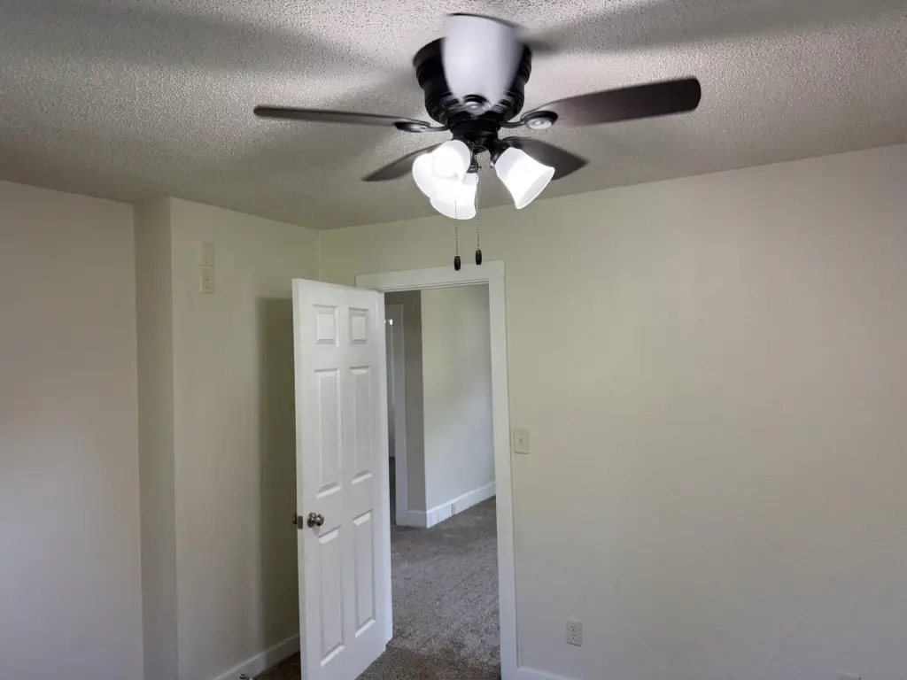 Picture 18
