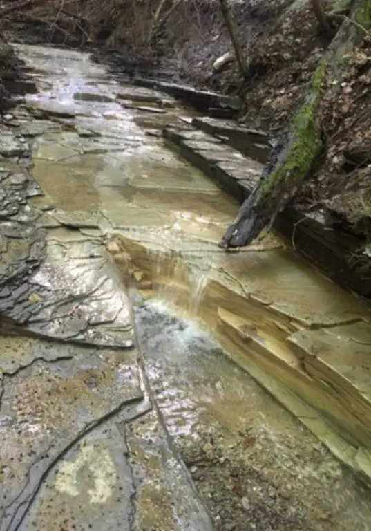 Picture 30