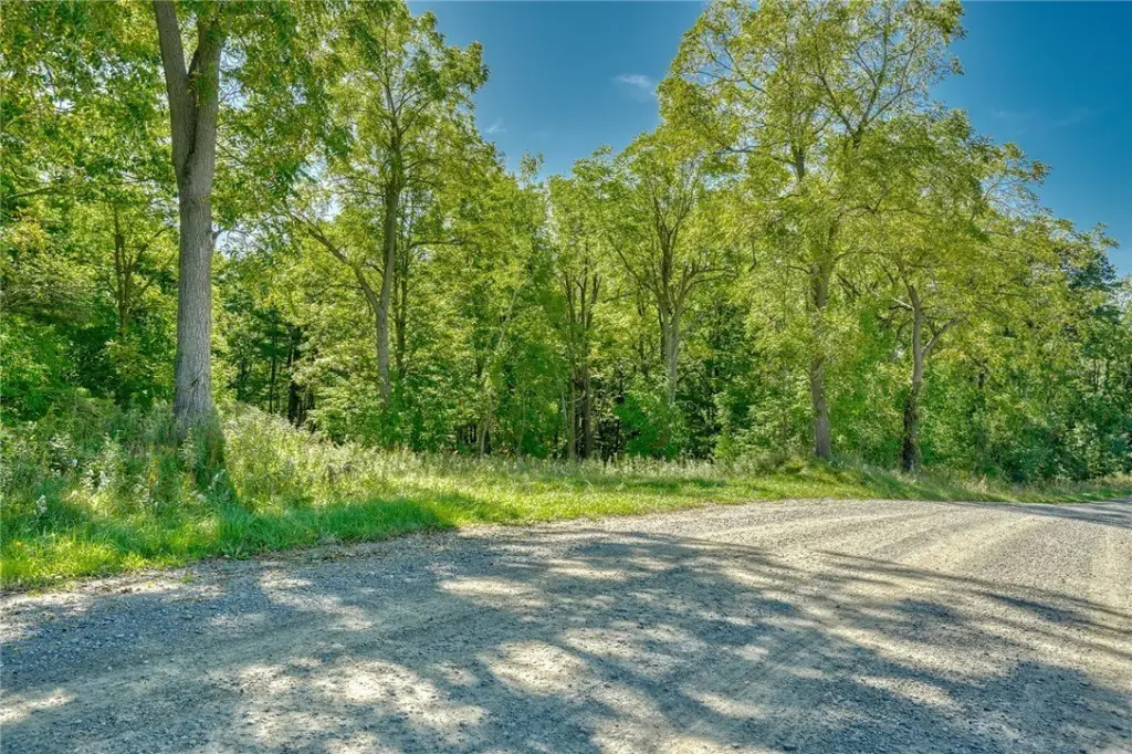 Picture 25