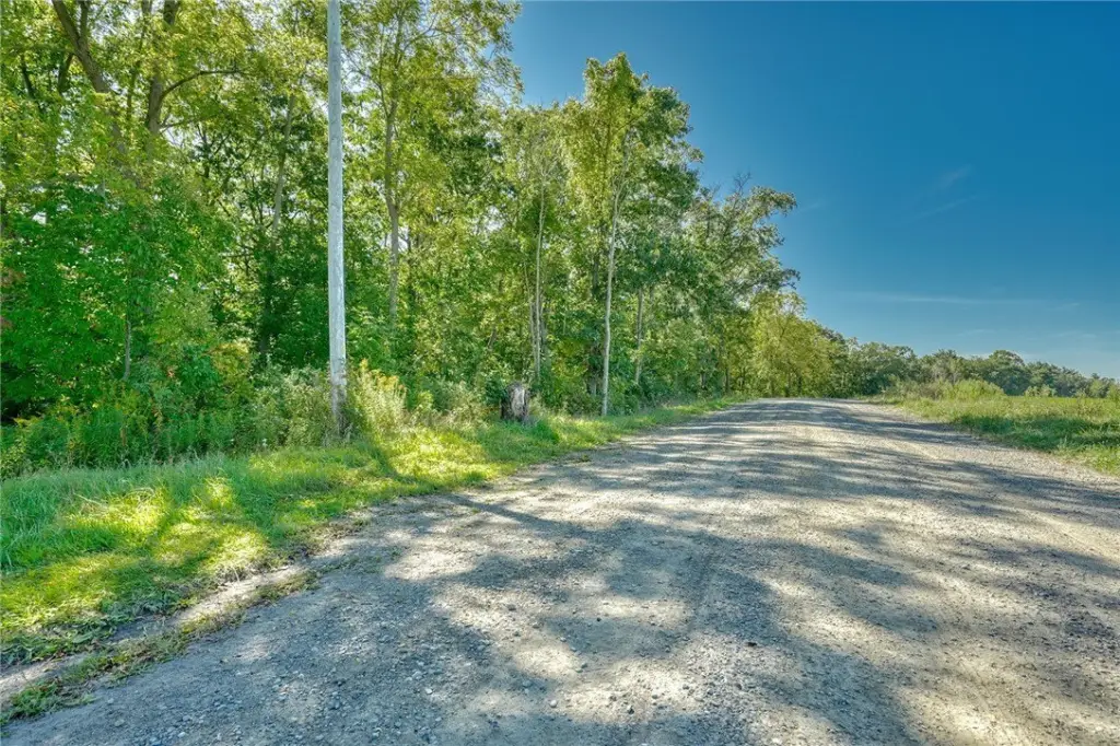 Picture 27