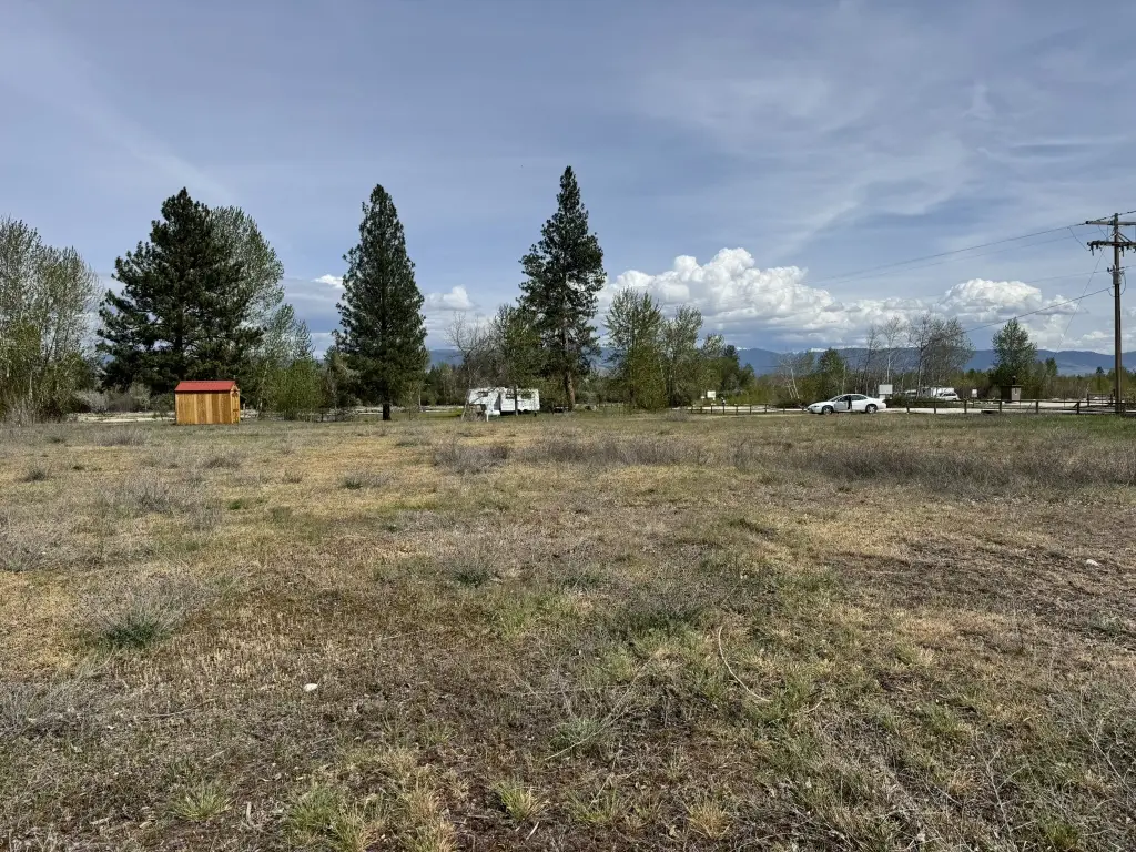 Picture 8