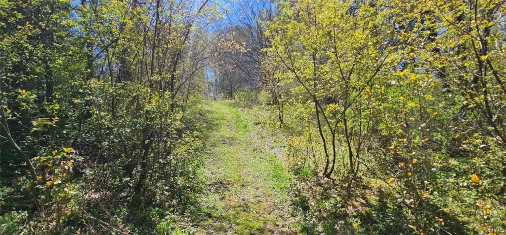 Picture 18