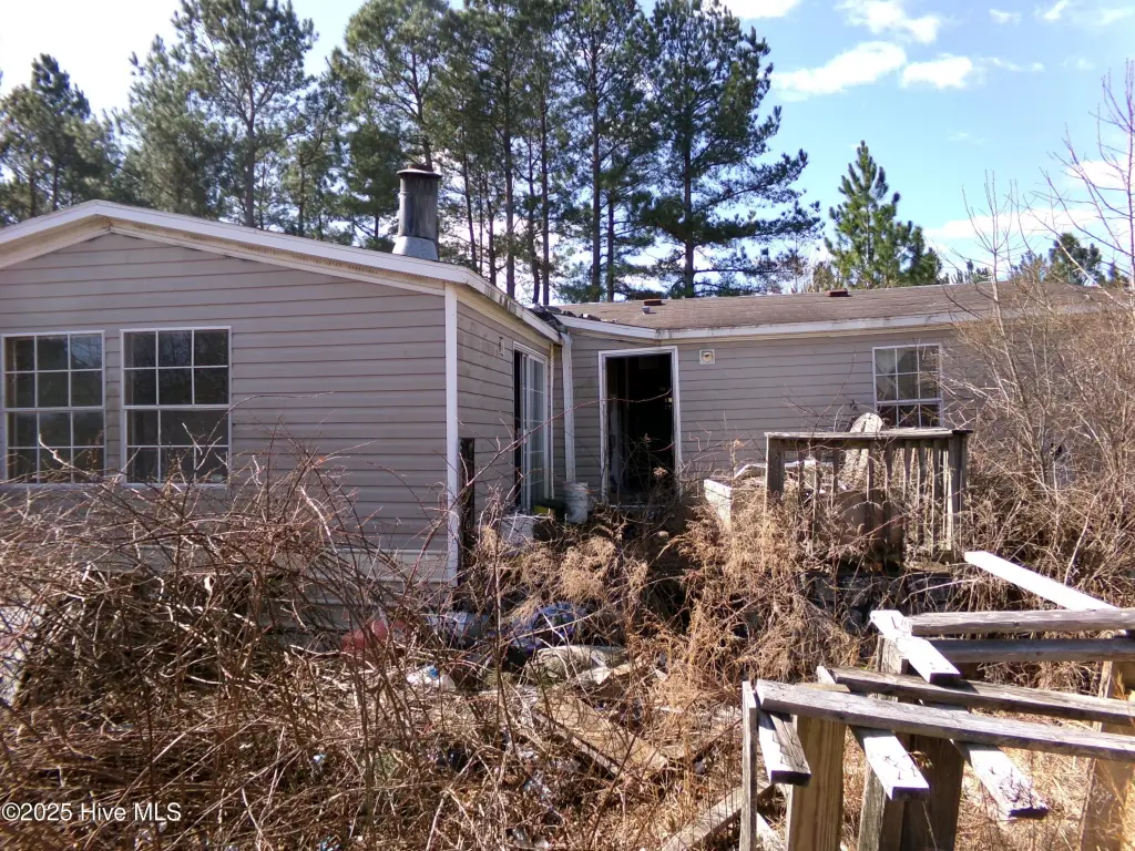 Picture 6