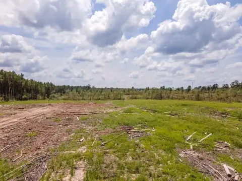 Apple Springs Land For Sale