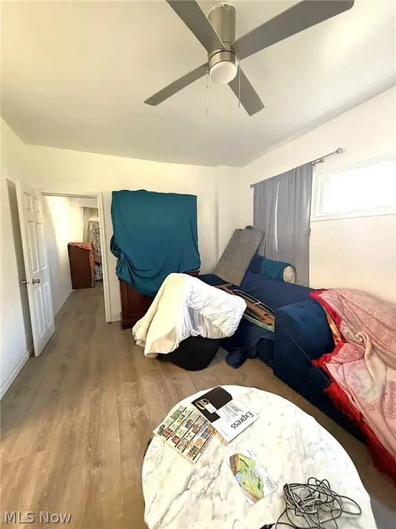 Picture 6