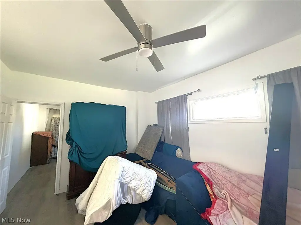 Picture 5