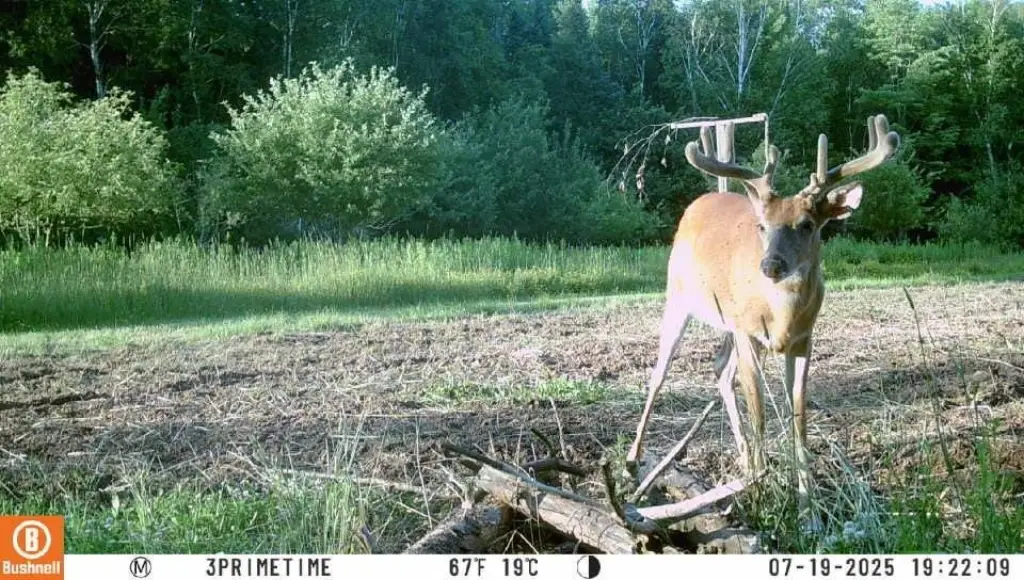 Picture 22
