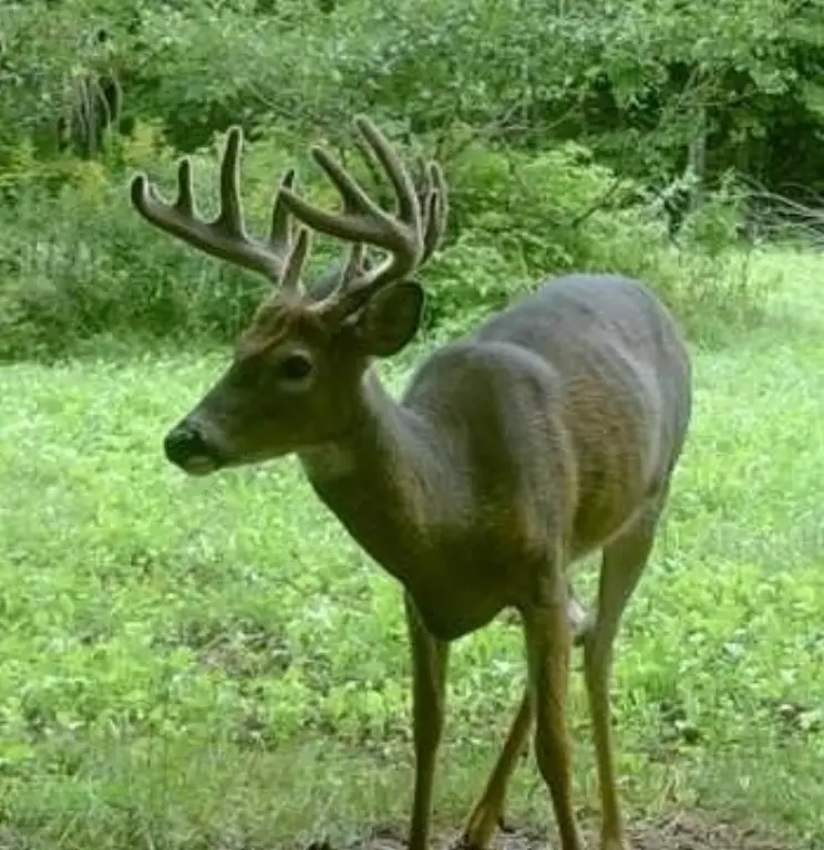 Picture 23