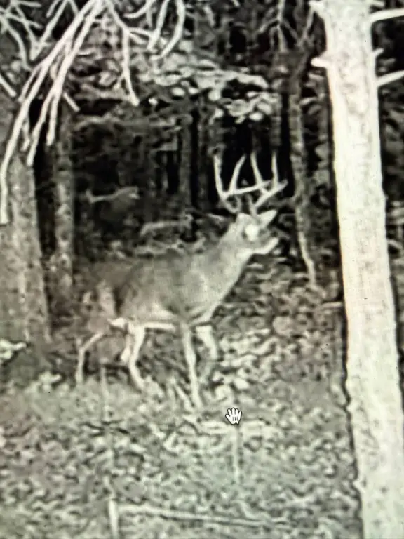 Picture 23