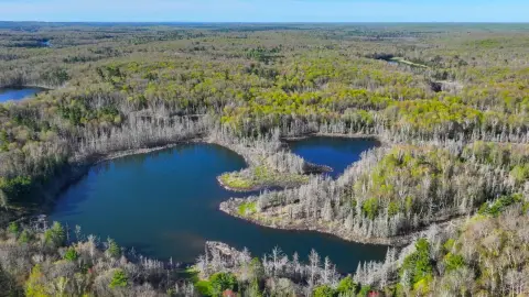Managed Hunting Land with Lakes