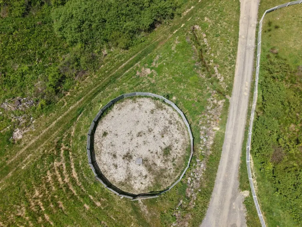 Picture 29