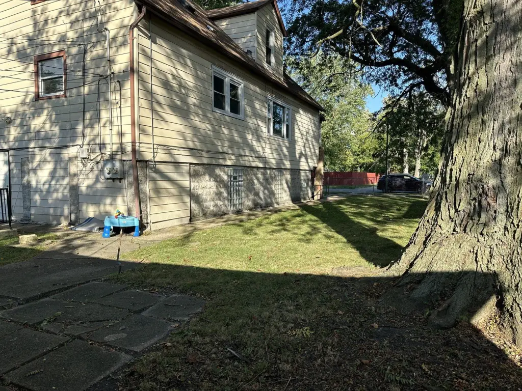 Picture 12