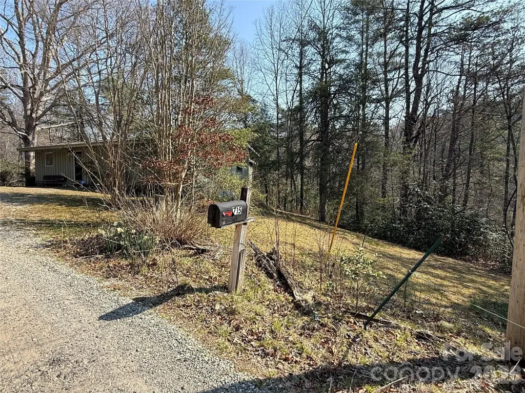 Picture 23