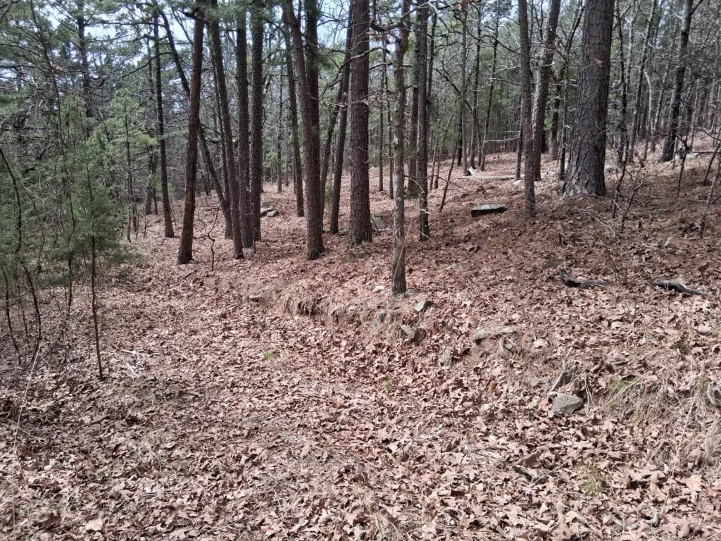 Picture 14