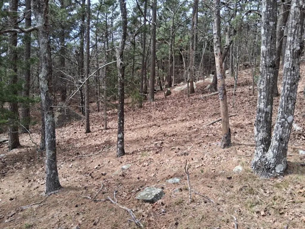 Picture 16