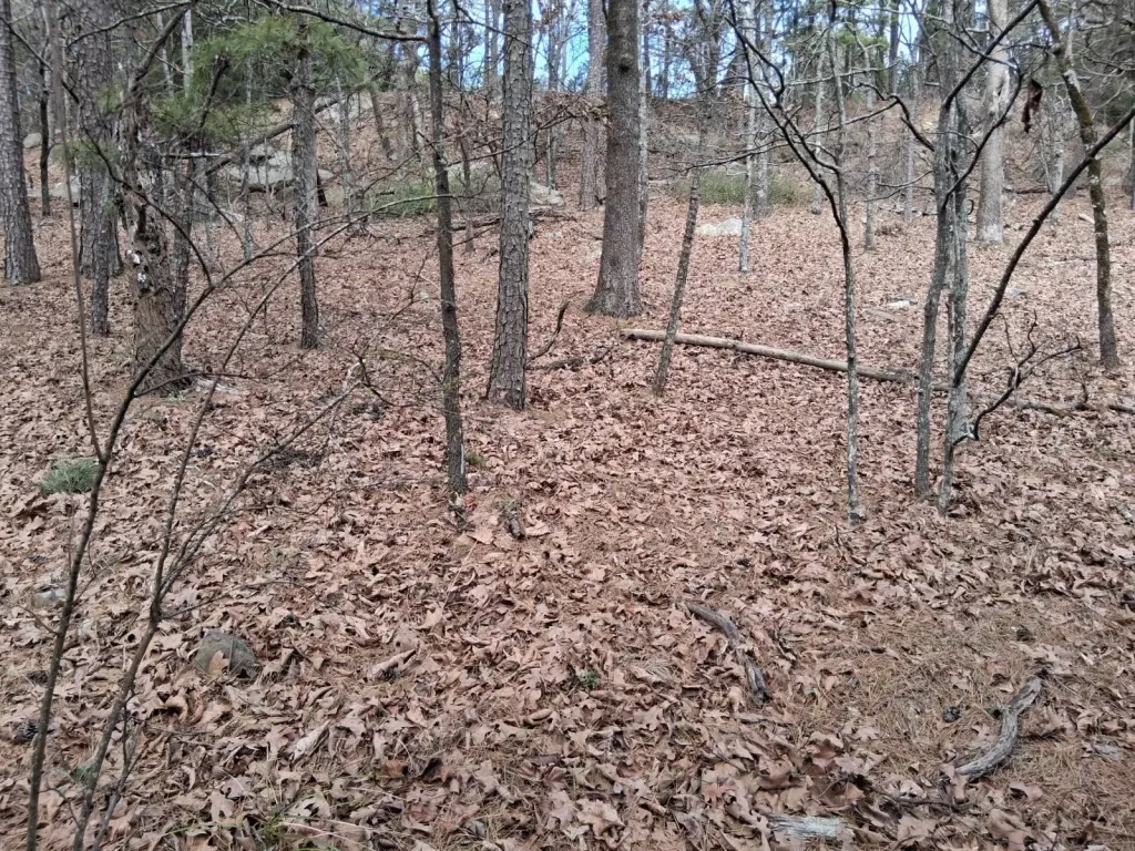 Picture 10