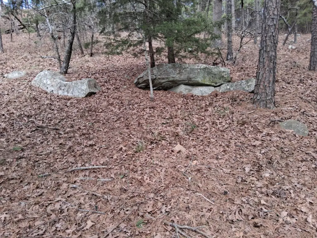 Picture 11