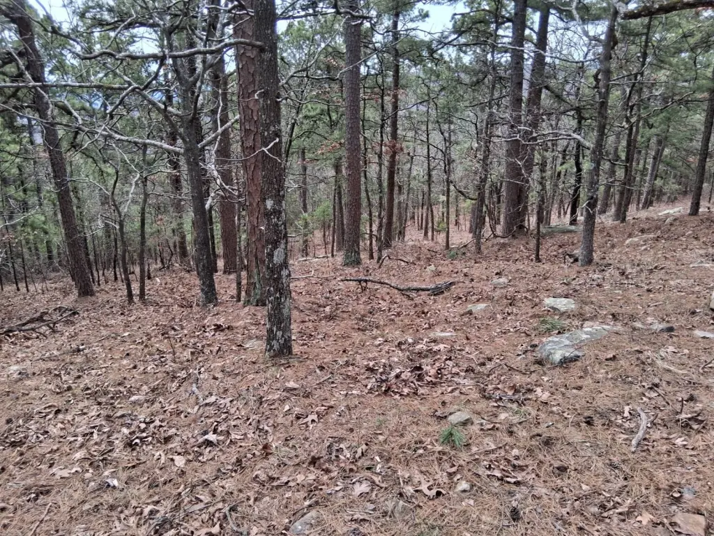 Picture 6