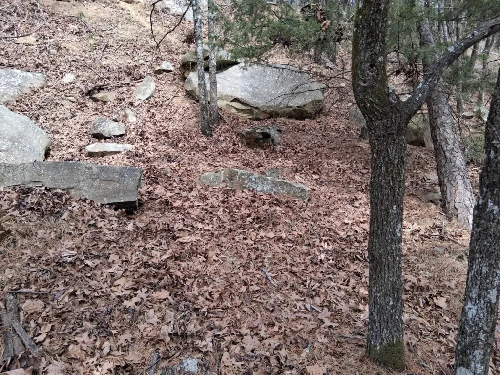 Picture 7