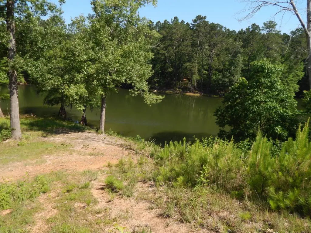 Picture 6