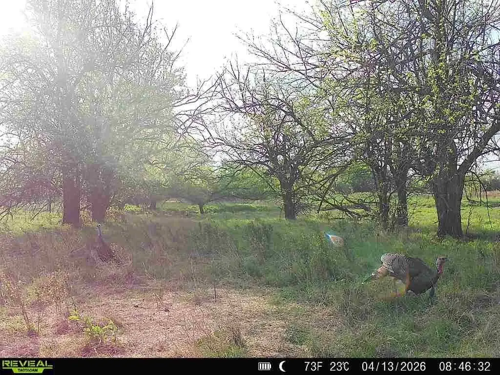 Picture 28