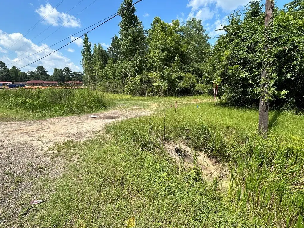 Picture 6