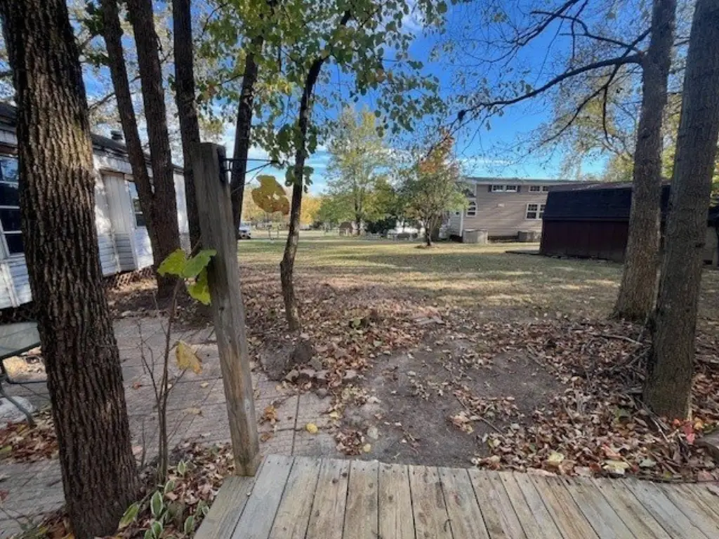 Picture 19
