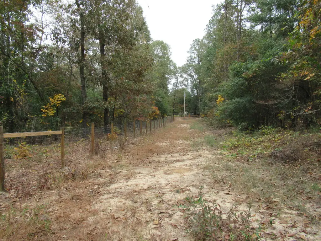 Picture 22
