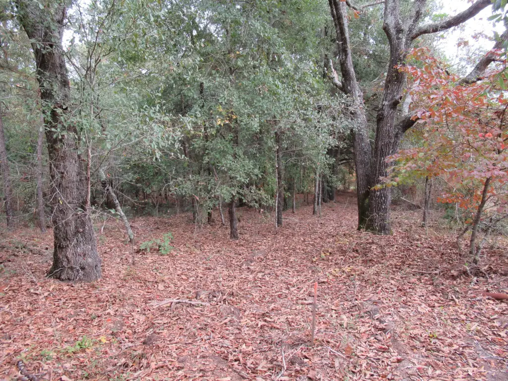 Picture 15