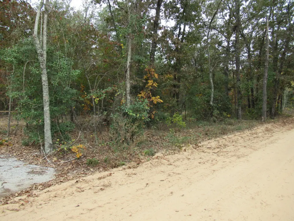Picture 24