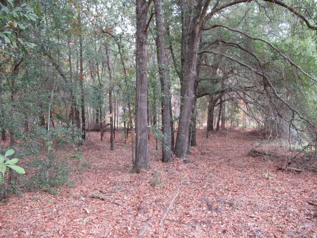 Picture 16