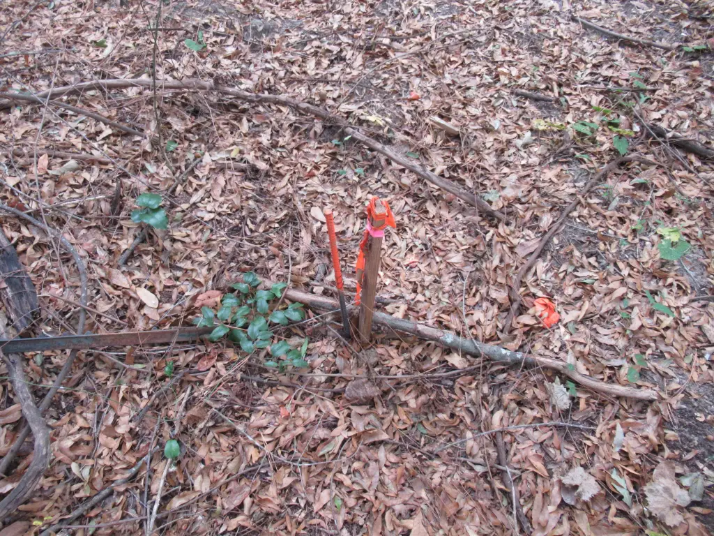 Picture 17