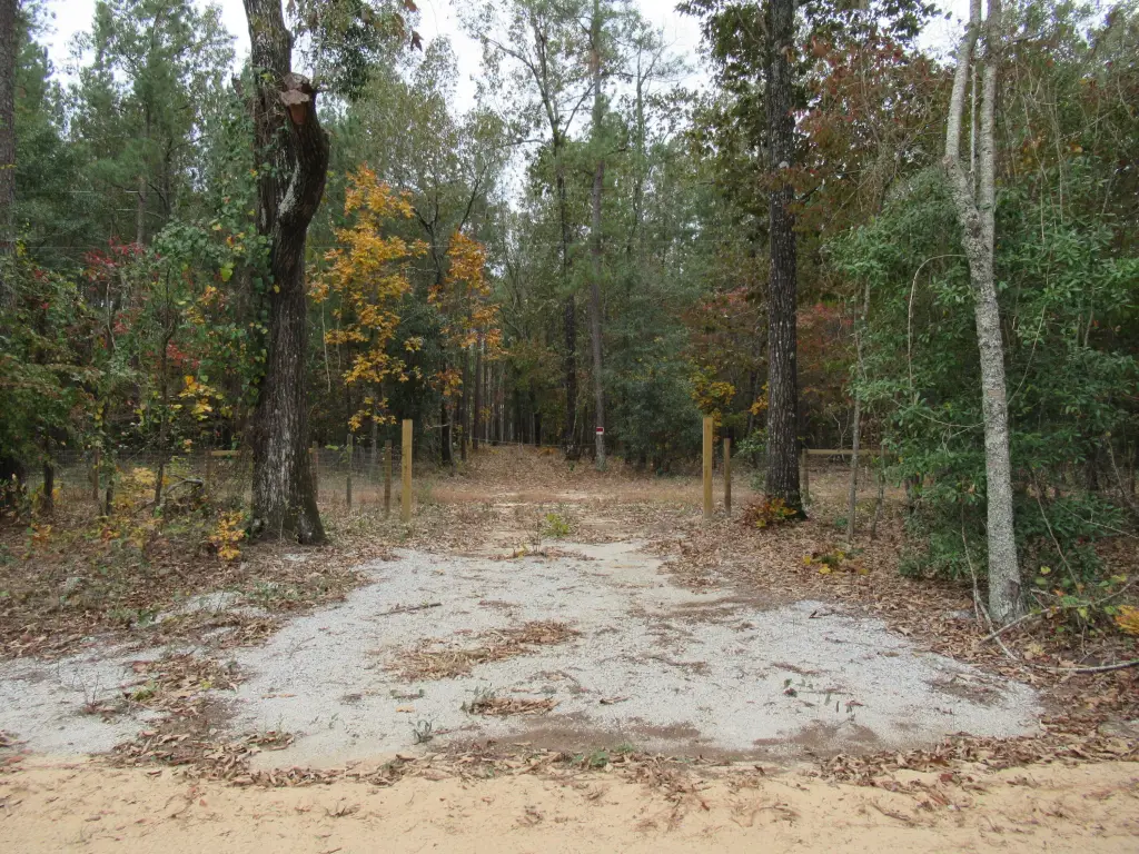 Picture 23