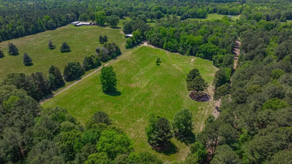 Picture 33