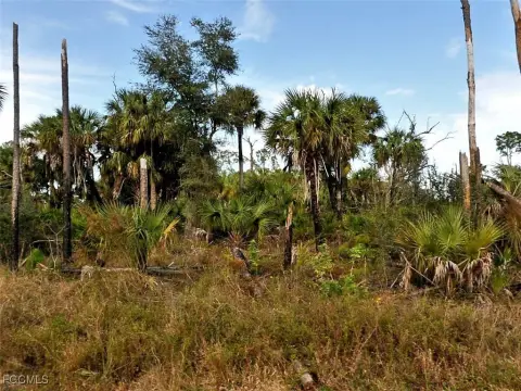 North Port Quarter-Acre Commercial Lot