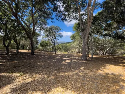 Santa Lucia Preserve Hilltop Parcel