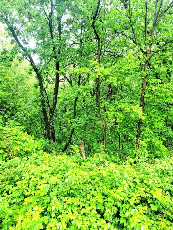 Picture 3