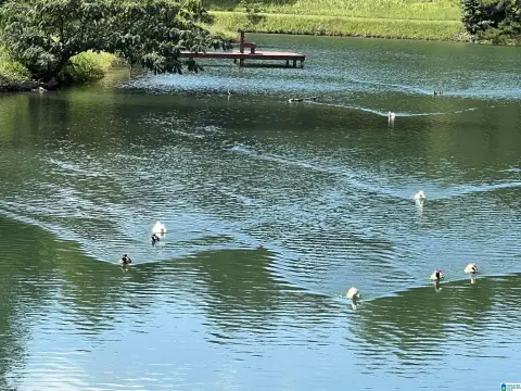 Residential Lot in Lakewood Preserve