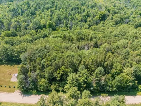 Wooded Hunting Land with Creek