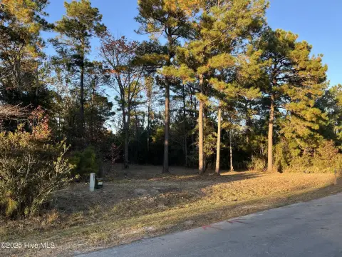 Wooded Lot Near Waterfront Community