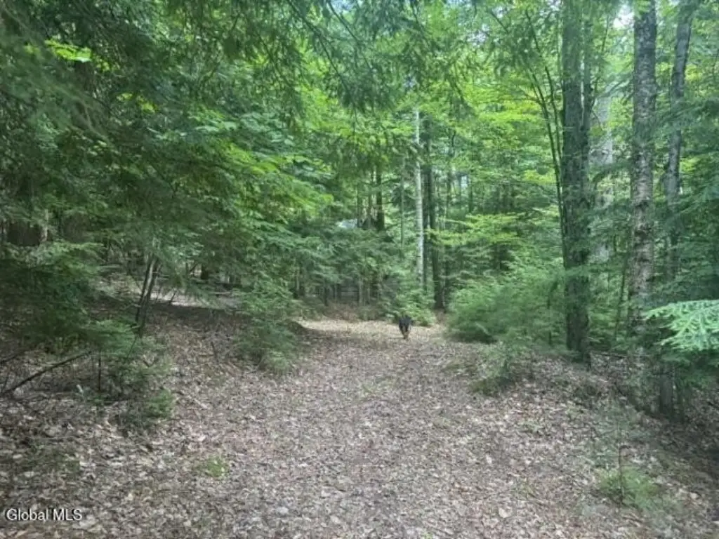 Picture 5