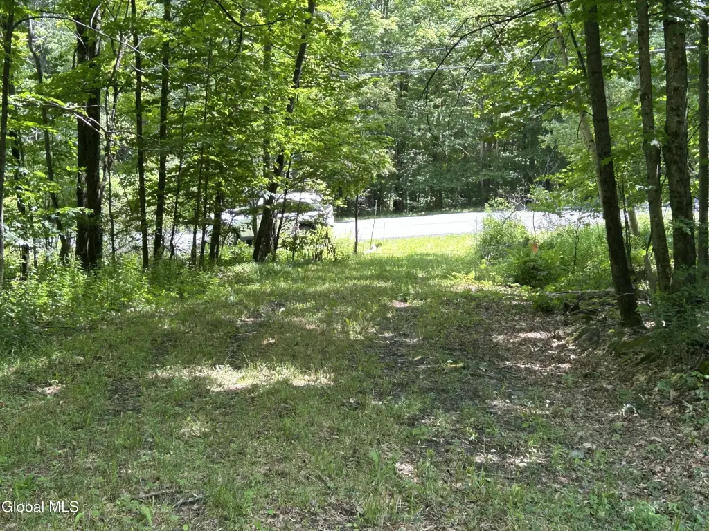 Picture 5