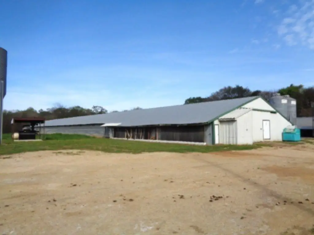 Picture 6